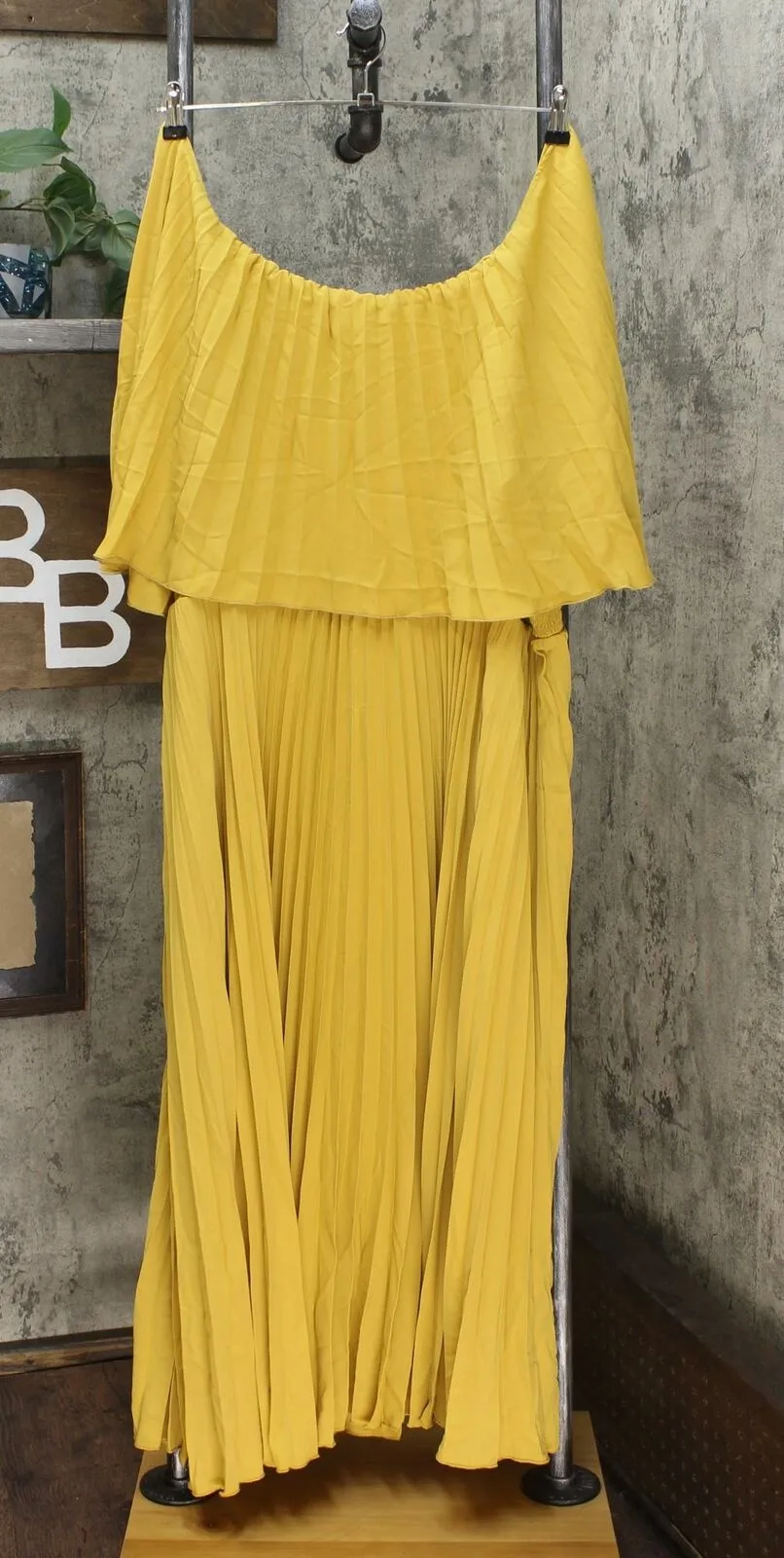 Antthony Couture Women's Plus Size Pleated Maxi Dress