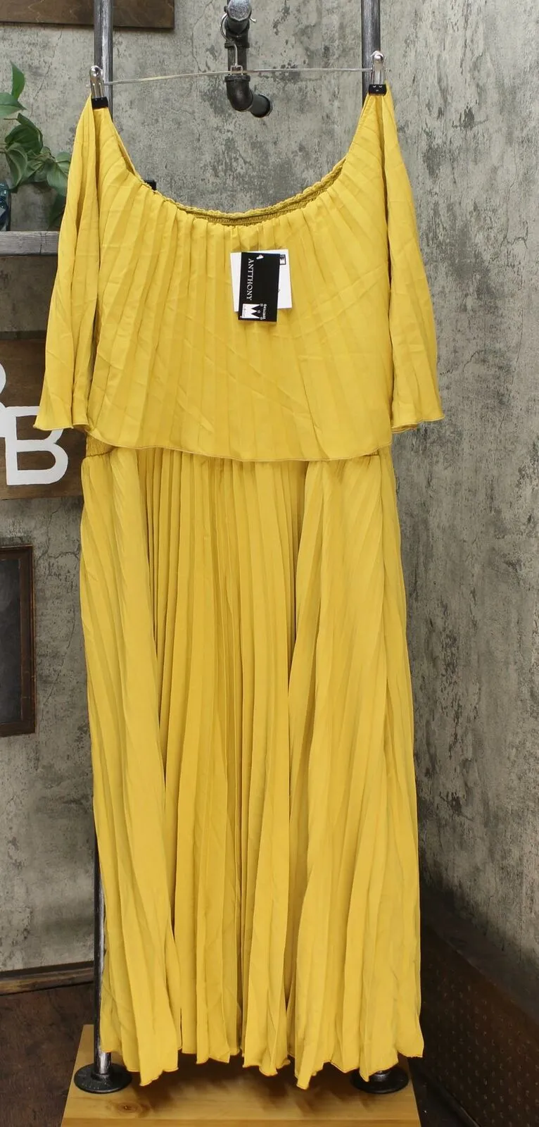 Antthony Couture Women's Plus Size Pleated Maxi Dress